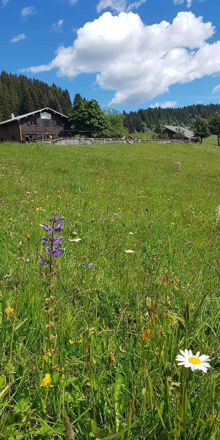 Gite Les Lanfiannes Thorens-Glières Buitenkant foto