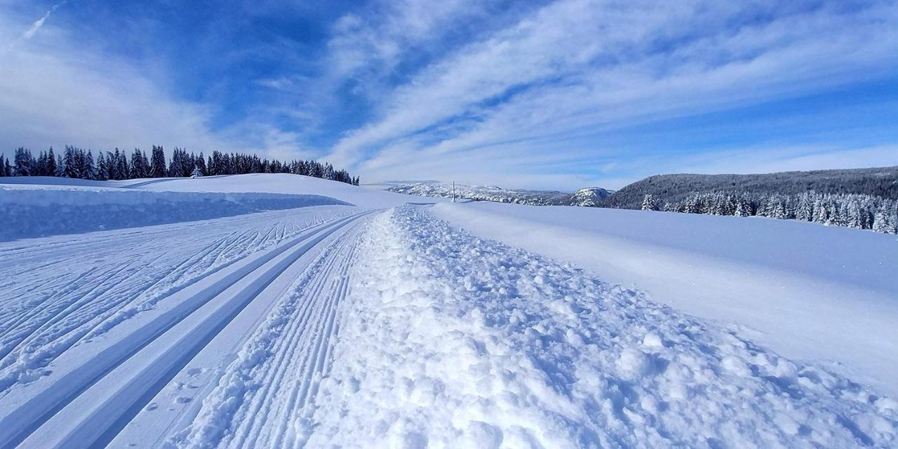 Gite Les Lanfiannes Thorens-Glières Buitenkant foto