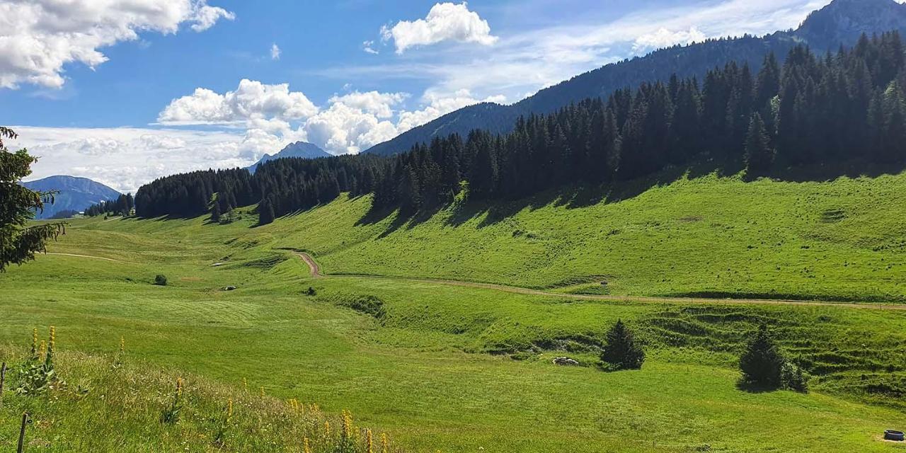 Gite Les Lanfiannes Thorens-Glières Buitenkant foto