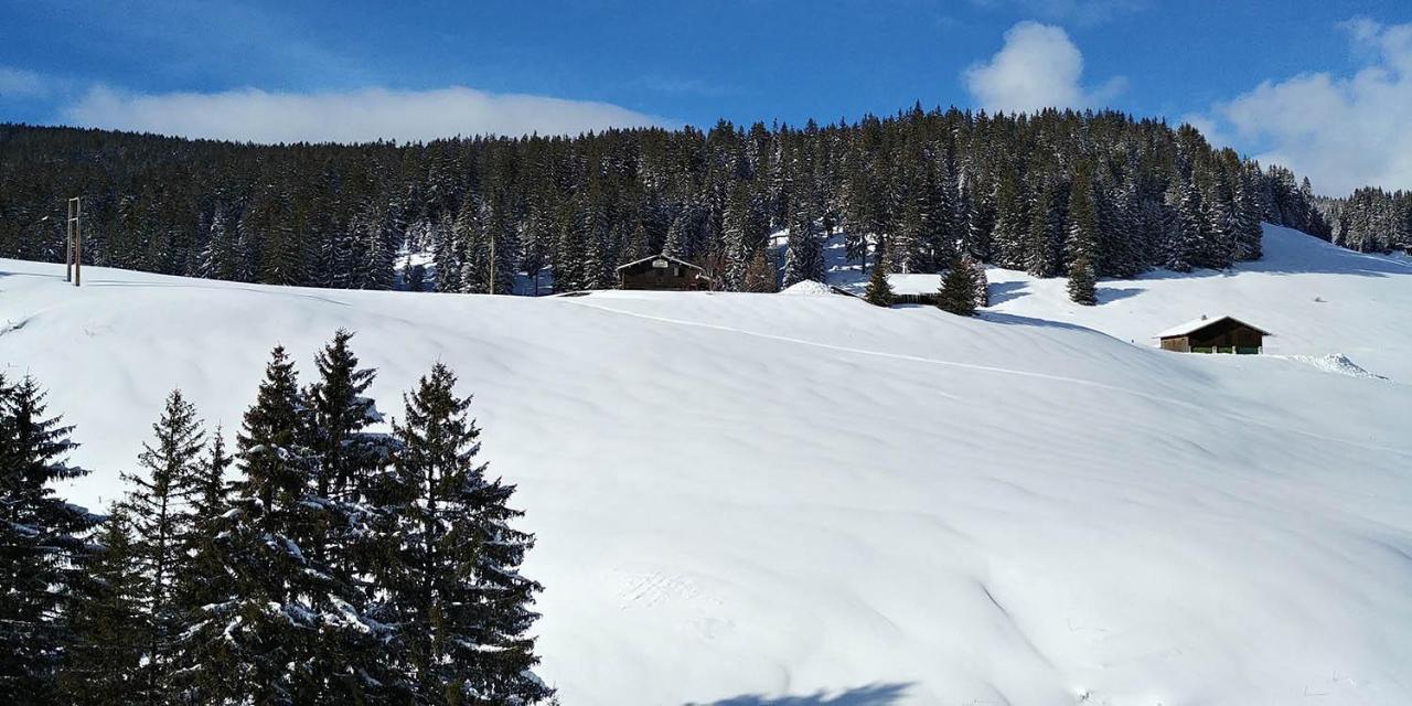 Gite Les Lanfiannes Thorens-Glières Buitenkant foto