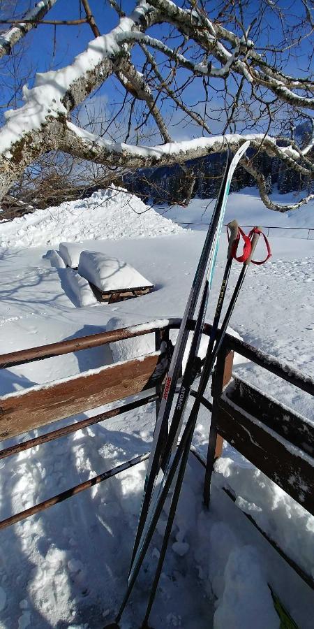 Gite Les Lanfiannes Thorens-Glières Buitenkant foto