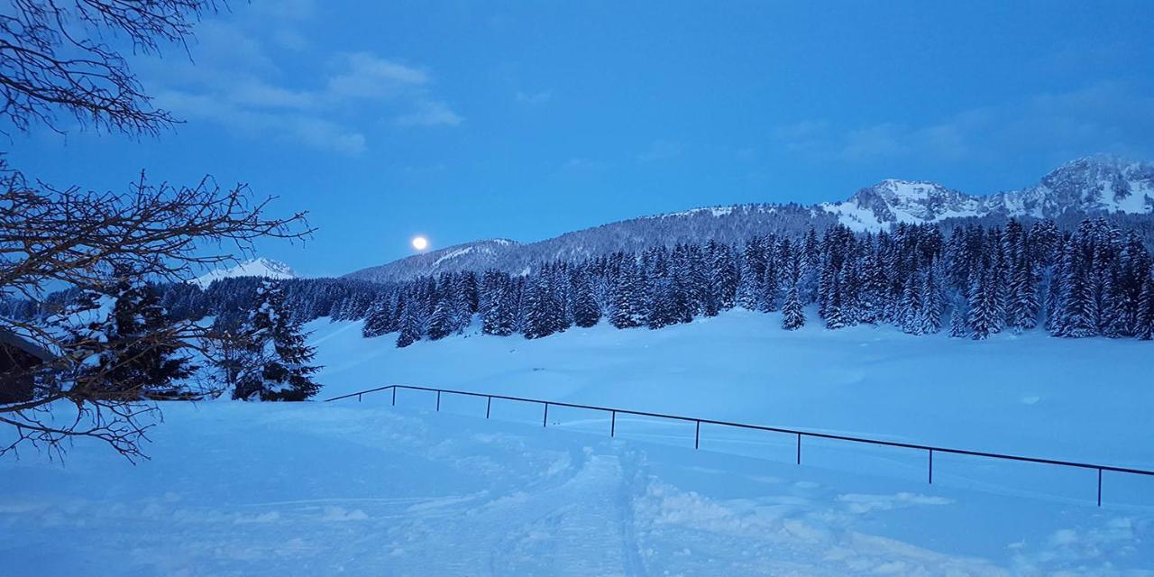 Gite Les Lanfiannes Thorens-Glières Buitenkant foto