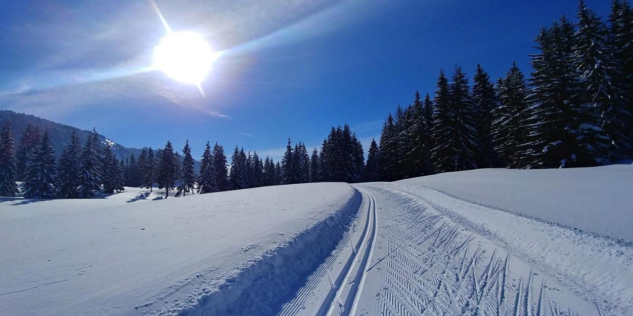 Gite Les Lanfiannes Thorens-Glières Buitenkant foto